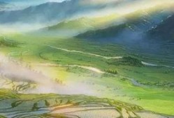 新海诚最新作品爆料,穿越时空的奇幻之旅