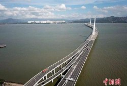 粤港澳大湾区新闻爆料,最新动态与热点事件盘点