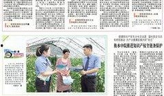 河南法治爆料最新消息新闻,最新案件进展及社会影响深度解析