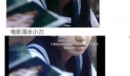 娱乐圈吃瓜系统完结,揭秘明星幕后真相，大结局揭晓！