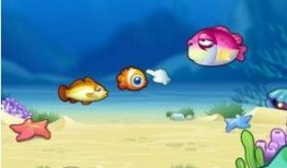 小鱼吃瓜娱乐,揭秘娱乐圈幕后故事，带你领略明星们的真实生活