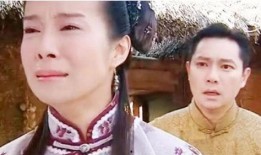 哑巴新娘电视剧在线观看,揭开神秘面纱，探寻爱情与命运的交织