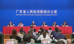 粤港澳大湾区新闻爆料,最新动态与热点事件盘点
