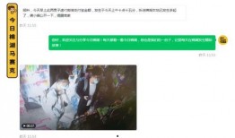 网友爆料免费网站视频