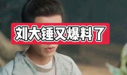 刘大锤最新爆料周也,周也背后的惊人真相