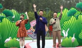 文安吃瓜爆料视频最新,揭秘娱乐圈最新热点事件