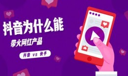 红花视频爆料者怎么赚钱,揭秘他们的赚钱之道