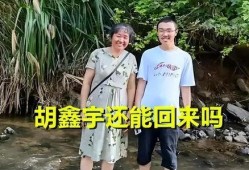 关于胡鑫宇事件最新爆料,揭秘校园失踪之谜的惊人爆料