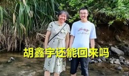 关于胡鑫宇事件最新爆料,揭秘校园失踪之谜的惊人爆料