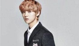 爆料鹿晗姐姐的新闻稿子,揭秘明星背后的故事