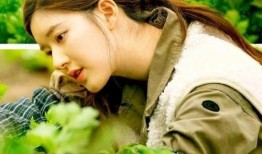 塑料性韩国版在线观看,沉浸式观看体验，揭秘人性与社会的复杂交织