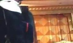 宅女爆料全过程视频在线播放,揭秘网络视频背后的真实故事