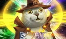 第五人格卢卡最新爆料,卢卡最新爆料揭秘，游戏新篇章即将开启！