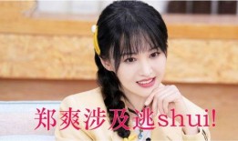 圈内人爆料郑爽,圈内人爆料揭露惊人内幕