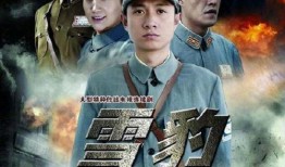电视连续剧雪豹全集在线观看,热血抗战，青春无悔的传奇岁月
