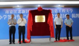 新船员最新爆料消息视频,航程中的惊险瞬间与幕后故事