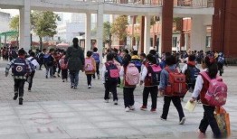 吴川小学爆料案件最新,真相逐步浮出水面，警方全力调查