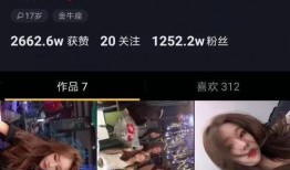 网红爆料看主页真实视频,主页真实视频背后的惊人真相