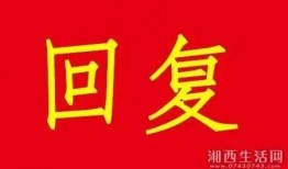 复兴集团爆料最新消息,最新动态揭秘，行业变革即将开启