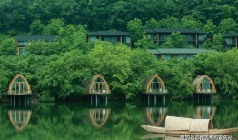 华信煤气最新爆料消息查询,揭秘行业内幕，深度剖析市场动态