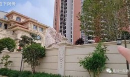 湛江豪宅爆料事件视频,揭秘奢华背后的惊人真相