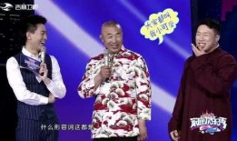 德云社淘气爆料事件视频,揭秘幕后的真相与争议