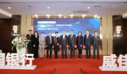 威佳集团最新爆料,揭秘行业变革背后的秘密