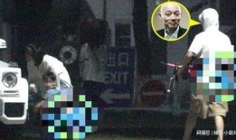 葛优爆料视频,娱乐圈幕后真相大曝光