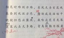 石家庄教育局最新爆料,教育改革动态与未来展望