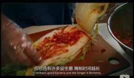 酸菜饱饱爆料涂磊原视频