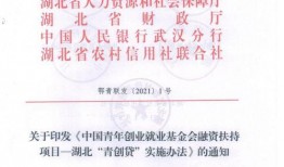 湖北青年爆料最新消息,揭秘事件背后真相