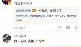 浪姐导演爆料视频大全集,视频大全集幕后故事大揭秘