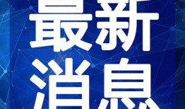 黑心摊贩爆料视频大全最新,黑心摊贩爆料视频大全深度解析