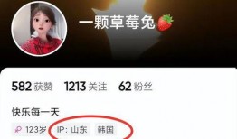孙艺珍圈内爆料,真实与虚幻的交织