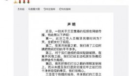 娱乐吃瓜点评怎么写范文,揭秘明星幕后故事