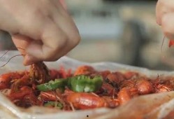 网红小甲鱼爆料视频,揭秘幕后真相