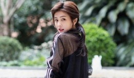 娱乐爆料 白鹿是真的吗,真相究竟如何？