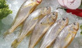 小黄鱼爆料新闻,揭秘娱乐圈最新热点事件