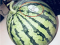 网红吃瓜视屏,揭秘娱乐圈幕后真相