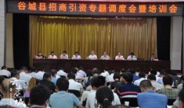 谷城新闻爆料,揭秘当地热点事件背后的真相