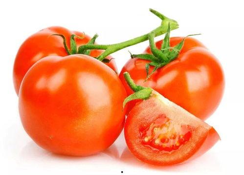 番茄娱乐圈读心吃瓜文